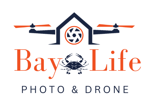 Final Bay Life Logo